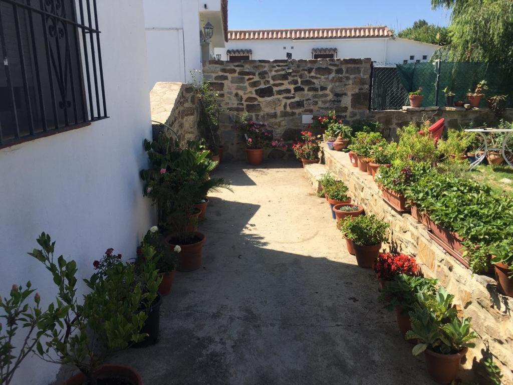 Apartamento Las Adelfas Tarifa Exterior photo